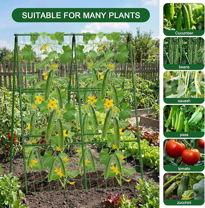 2-Pack A-Frame Cucumber Trellis - Image 7