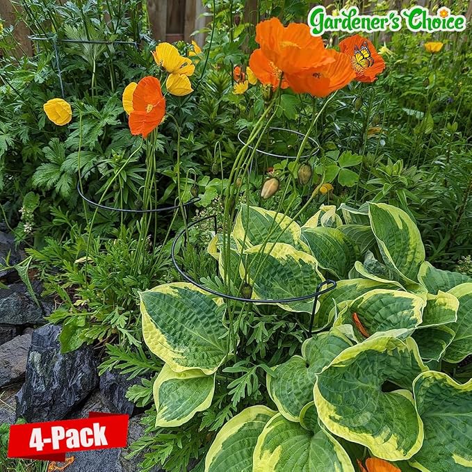 Snake Plant Support Stake - Image 2