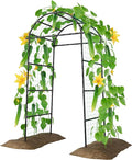 Miory Garden Arch Trellis for Climbing Plants Outdoor, Metal Plants Support by Miory