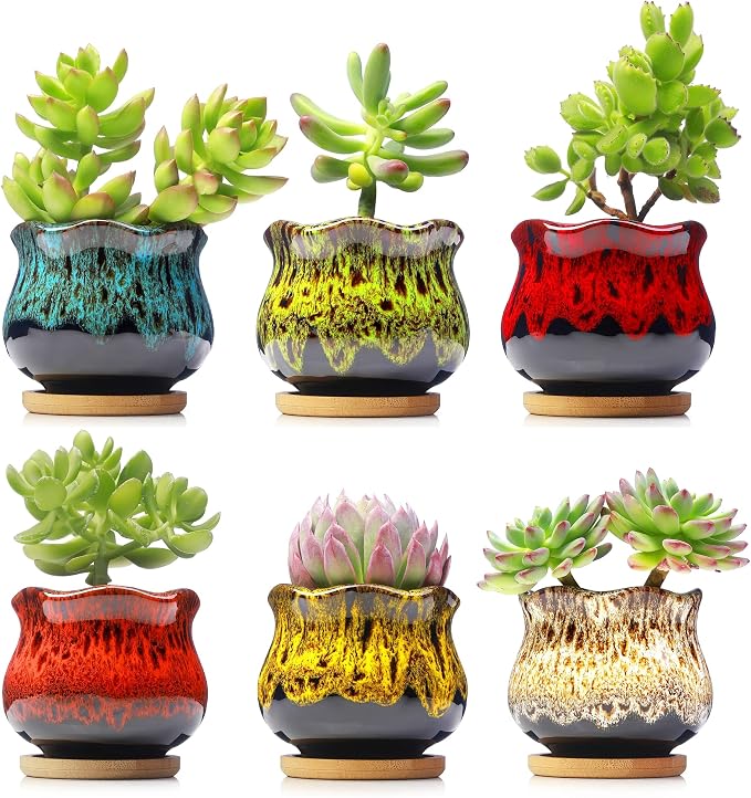 Cute Ceramic Succulent Planters, Garden Pots by Fulloog