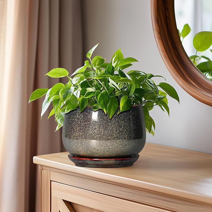 G EPGardening 6 Inch Plant Pot - Image 7