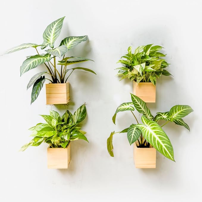 LaLaGreen Wooden Planter Box for Plants Small Square Wall Planters for Indoor by L%C3%A1L%C3%A1Green