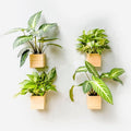 LaLaGreen Wooden Planter Box for Plants Small Square Wall Planters for Indoor by L%C3%A1L%C3%A1Green