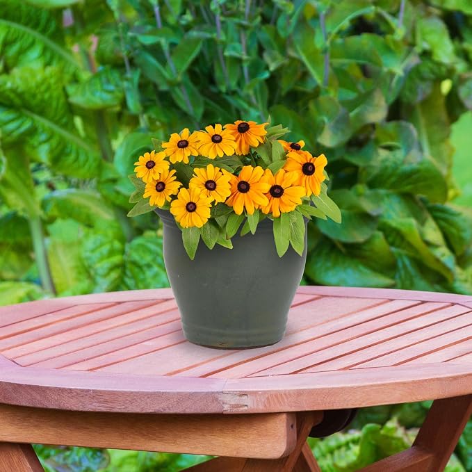 Sunnydaze Round Ceramic Planter - Image 9