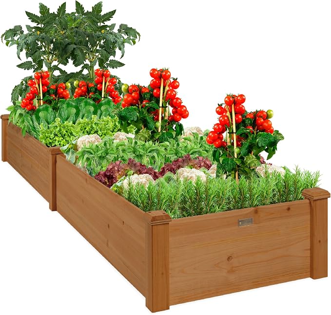 Best Choice Products 8x2ft Outdoor Wooden Raised Garden Bed Planter by BestChoiceProducts