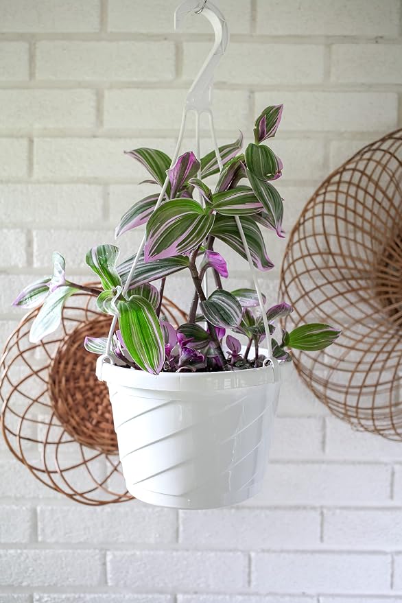The HC Companies Euro Hanging Basket Planter Decorative 10-Inch Large Plastic - Image 5