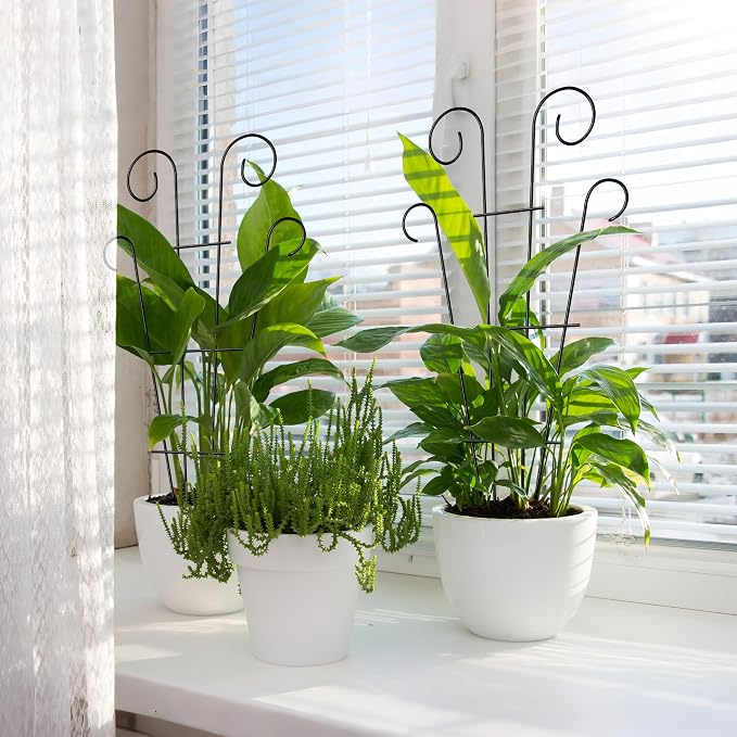 4 Pack 32'' Indoor Plant Trellis - Image 8