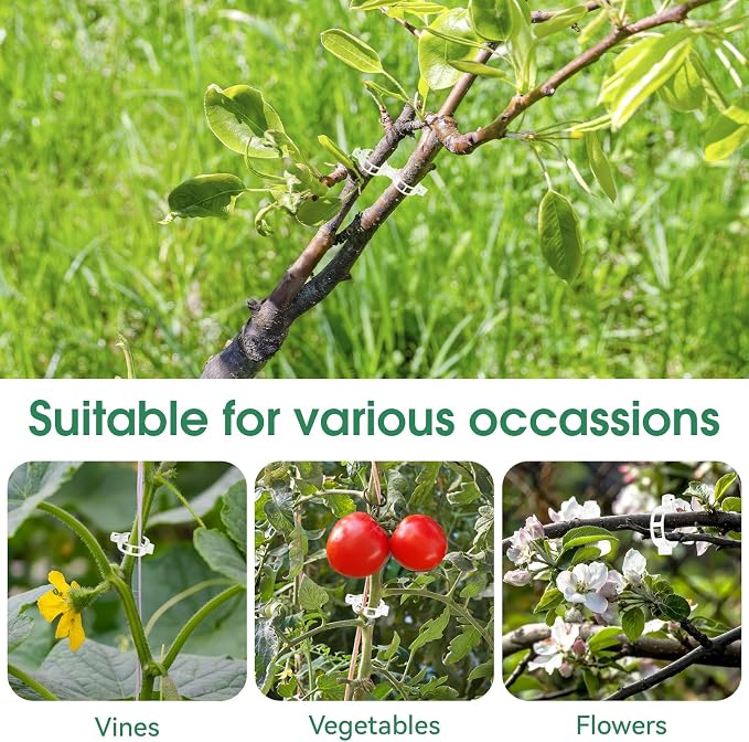 300 Pcs Plant Clips for Climbing Plants, Tomato Clips for Support, Plastic - Image 6