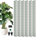 60" Metal Moss Pole, D Shape Sphagnum Moss Pole, Moss Poles by HOLANHING