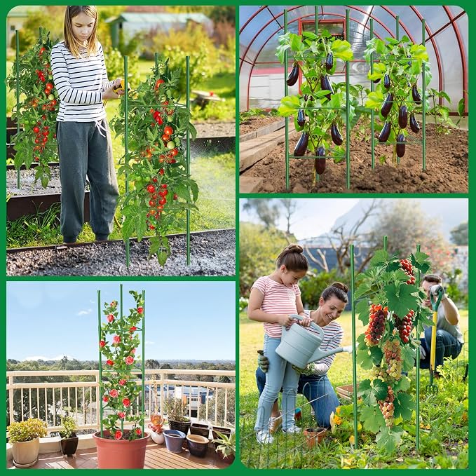 6 Pack Tomato Cages, 51.2in Tomato Plant Support Stakes Heavy-Duty, Garden - Image 3