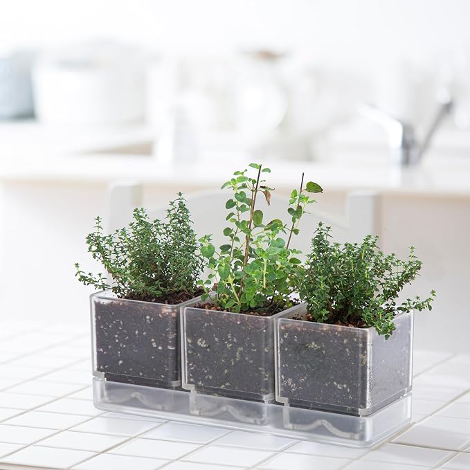 D'vine Dev Herb Garden Planter Set, Plastic Plant Pots - Image 4