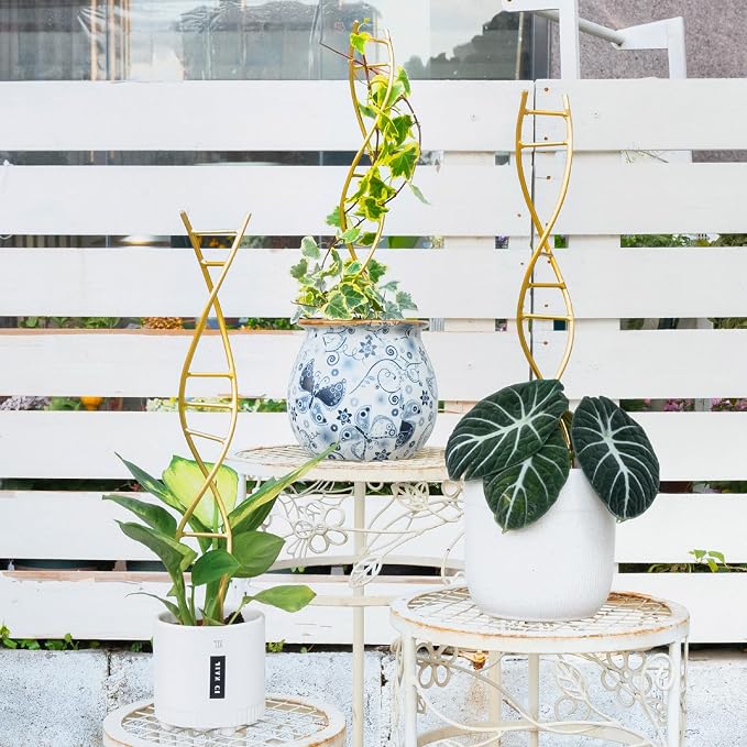 Indoor Plant Trellis for Potted Plants - Image 5