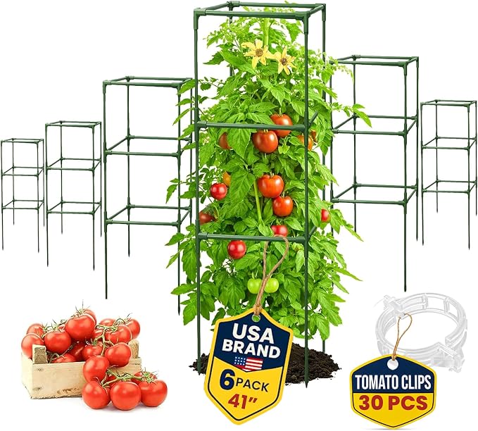 Tomato Cage Square by K-BRANDS