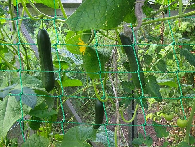 Trellis Netting for Climbing Plants - Image 6