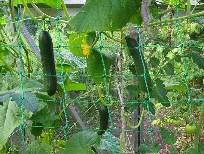 Trellis Netting for Climbing Plants - Image 2