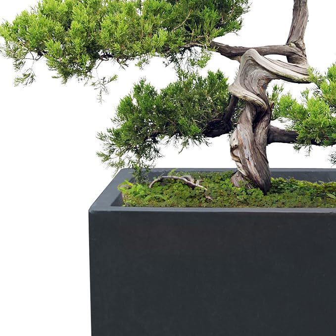 Kante 15.7" H Tall Rectangular Concrete Planters, Outdoor Indoor Lightweight - Image 3