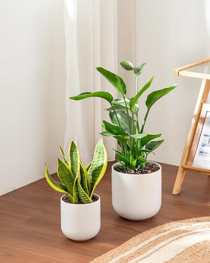 vancasso 6 Inch Ceramic Plant Pots, Planters - Image 6