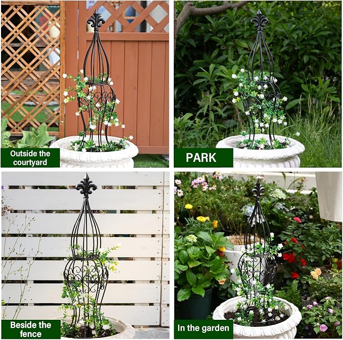 Obelisk Metal Garden Trellis for Climbing Plants - Image 7