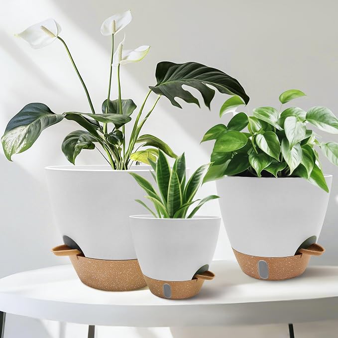12/10/9/8 inch Self Watering Pots - Image 7