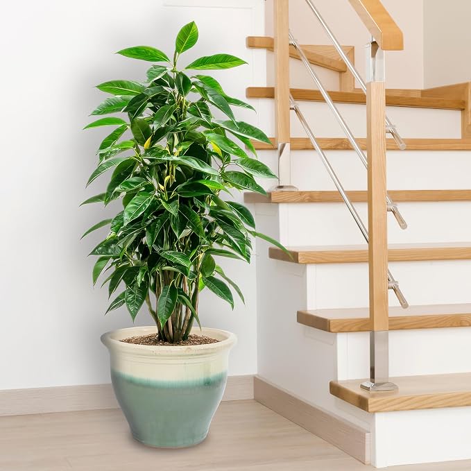 Sunnydaze Large Ceramic Plant Pot - Image 9