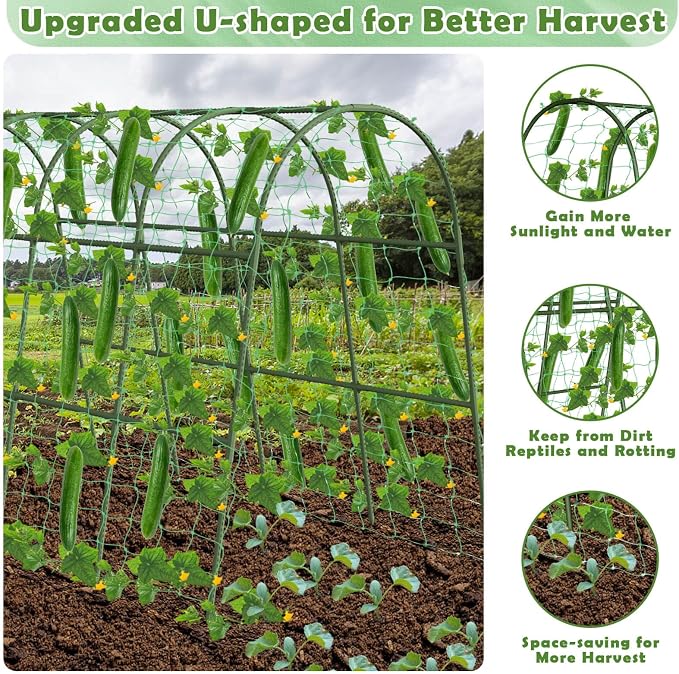 Cucumber Trellis for Raised Bed, Large Size Garden Arch Trellis for Climbing - Image 3