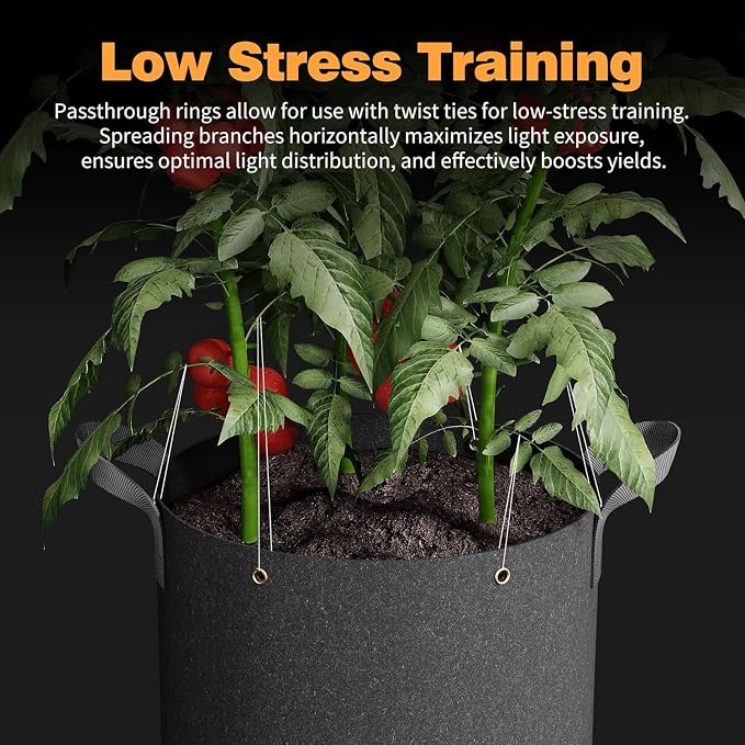 Self-Watering Grow Bags, for Low Stress Plant Training Fruits, Vegetables - Image 4