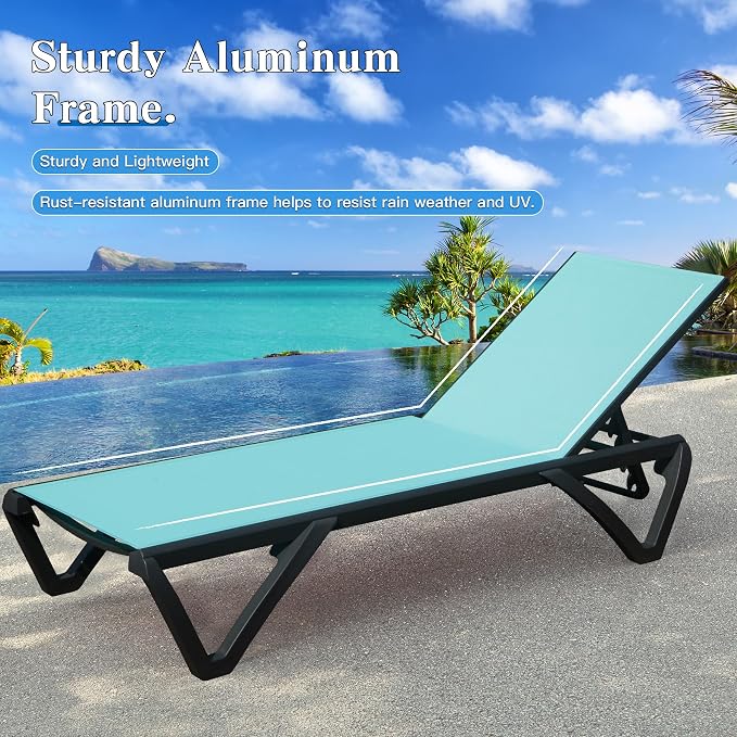 Domi Pool Lounge Chairs Set of 2 - Image 6