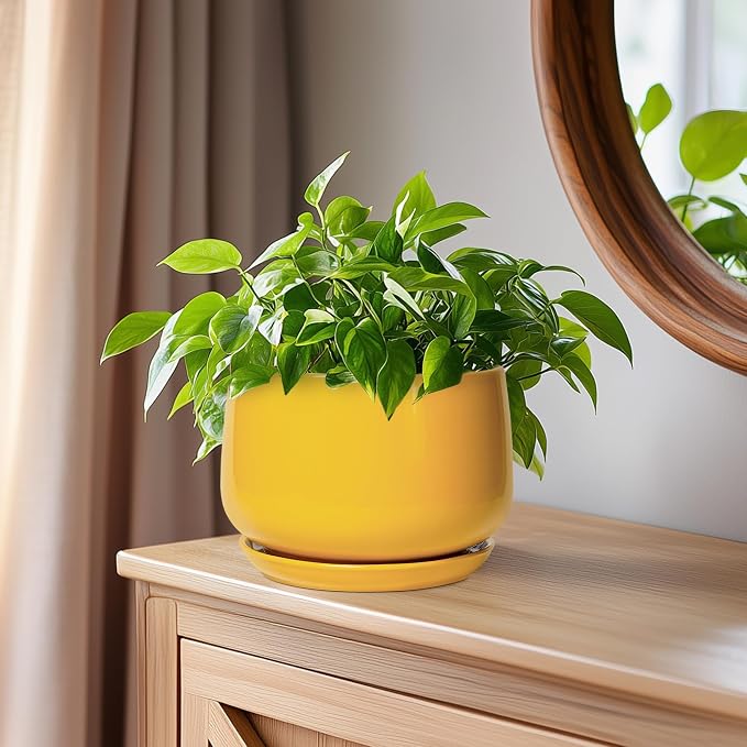G EPGardening Ceramic Plant Pot - Image 7