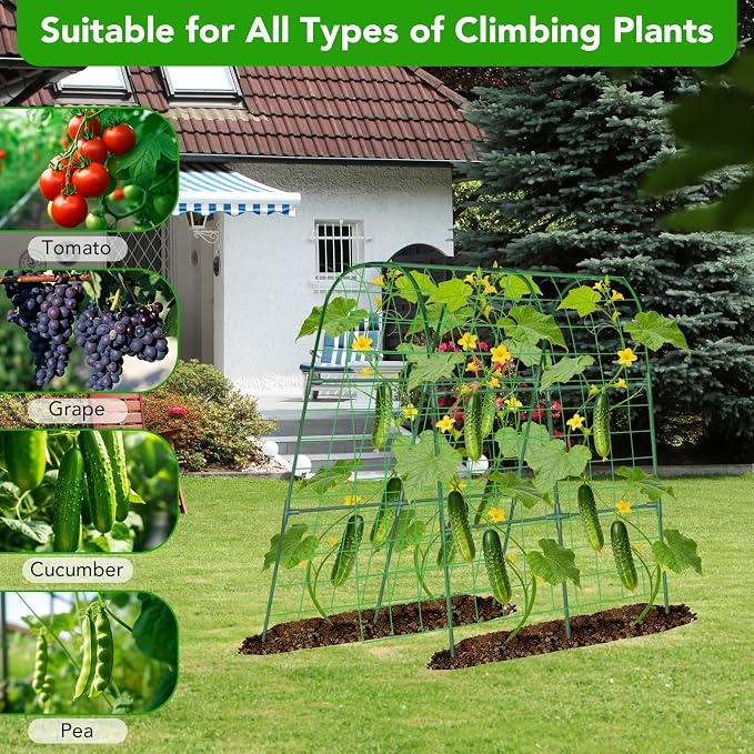Cucumber Trellis for Raised Bed, U-Shape Garden Trellis for Climbing Plants - Image 4