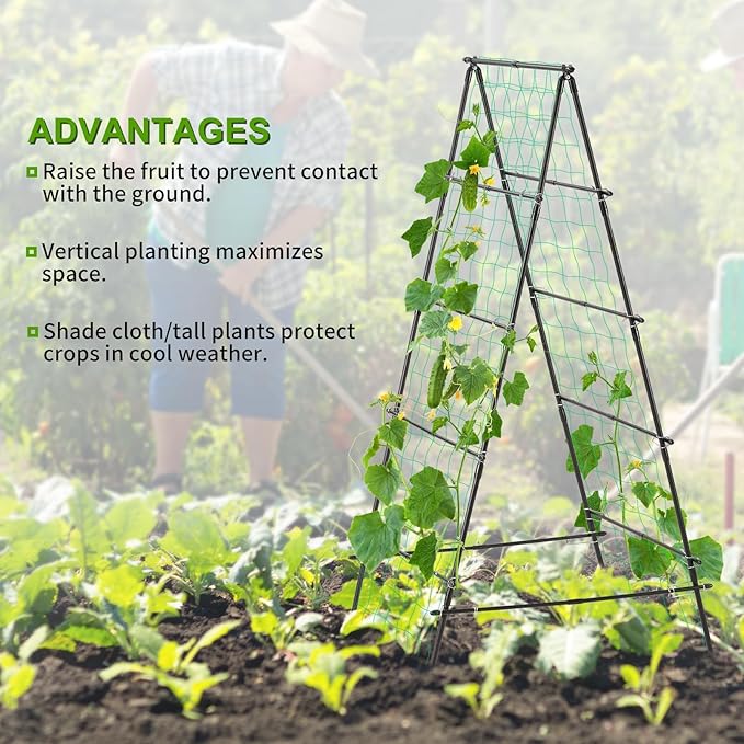 Garden Trellis for Climbing Plants, - Image 5
