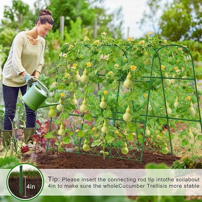 Cucumber Trellis for Raised Bed, U-Shape Garden Trellis for Climbing Plants - Image 6