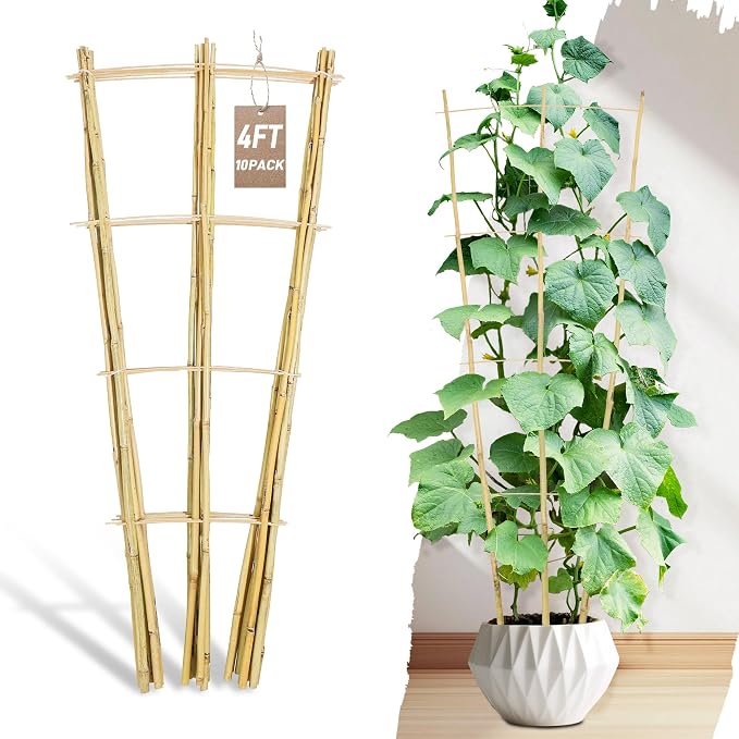 Avalution 10 Pack Bamboo Trellis by Avalution