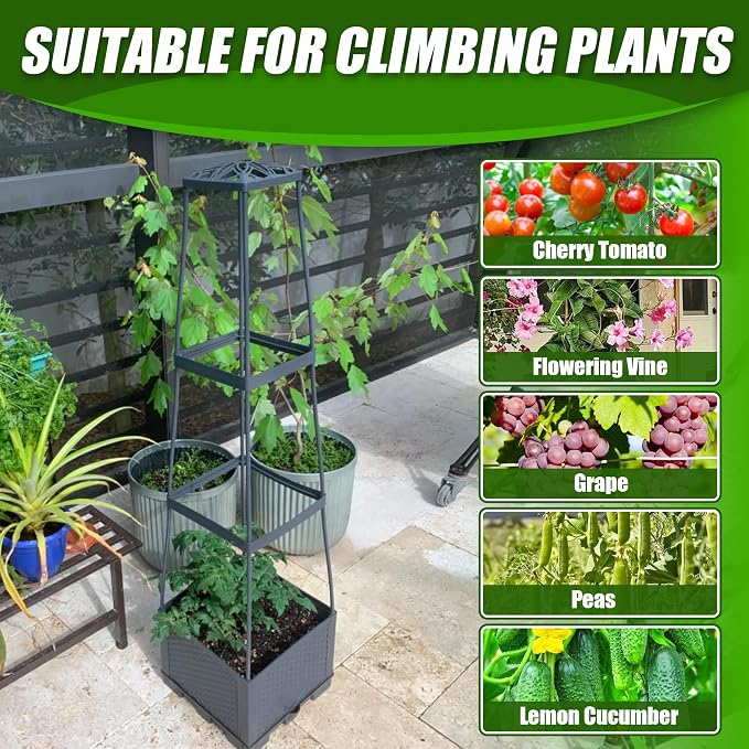 2 Packs Raised Garden Bed Tomato Planter Box - Image 6
