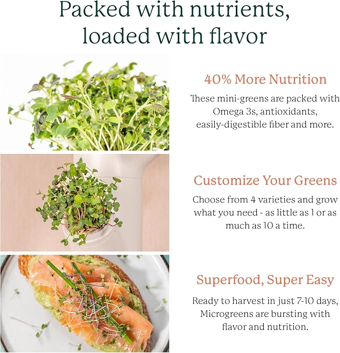 GARDYN Complete Microgreens Growing Kit - Image 2