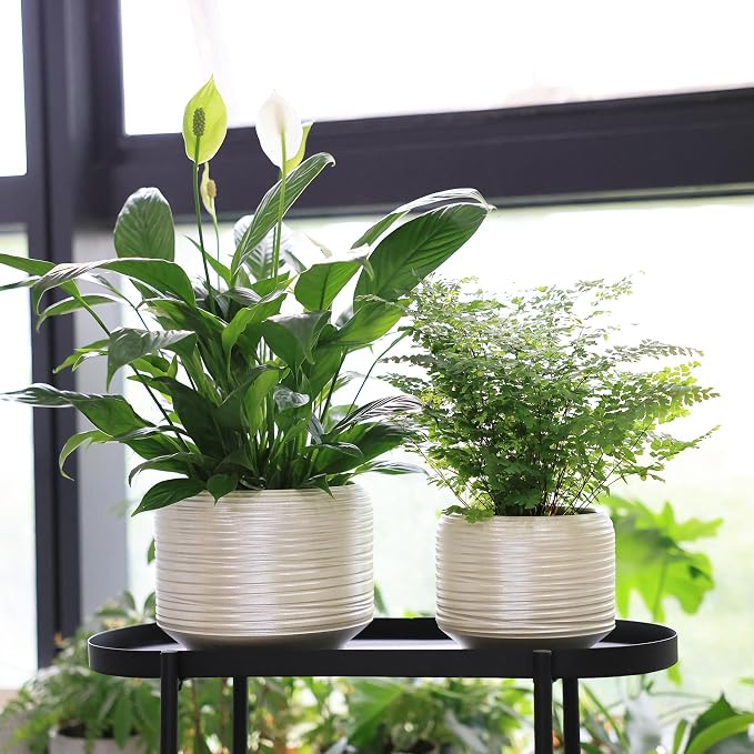 8 Inch + 6 Inch Ceramic Plant Pots Indoor - Image 4