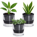 D'vine Dev 4 Inch Design Self Watering Planter by DvineDevPlanterPotsandStand