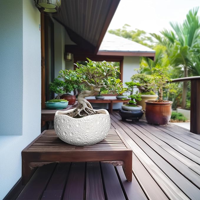 10 Inch Plant Pot - Image 4