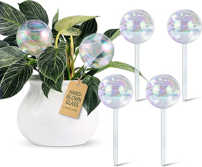 Large Extra-Thick Clear Glass Plant Watering Globes, Rainbow Gradient Self by SoilaguaDirect