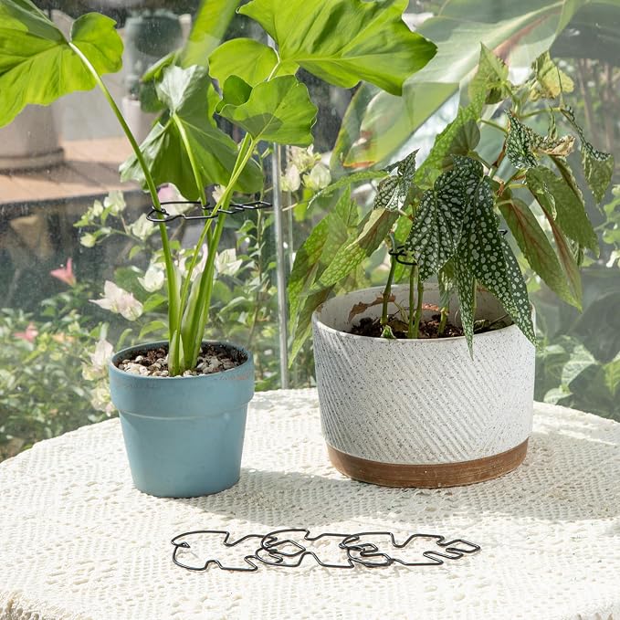 Monstera Plant Stem Support Set - Image 6