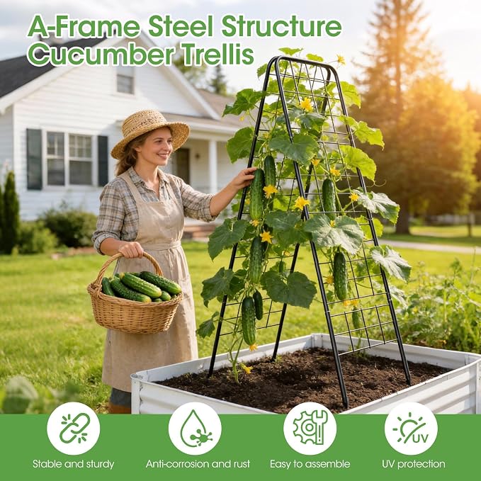 Heavy Duty Cucumber Trellis，50"x17" Adjustable A-Frame Trellis - Image 3