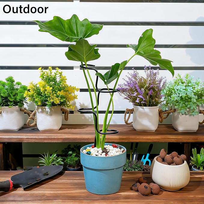 3PCS Indoor Plant Support Stakes - Image 5