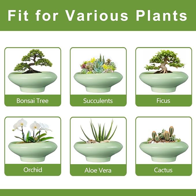 Ceramic Bonsai Pots - Image 7