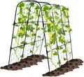 Garden Arch Trellis for Climbing Plants Outdoor, 50x48 inch Cucumber Trellis by OTOSUNNY