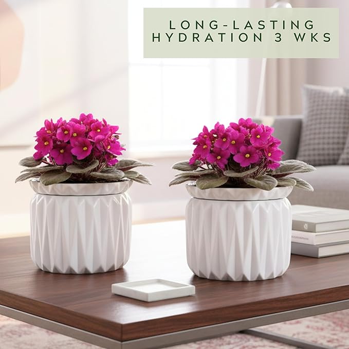 6 Inch African Violet Pots Self Watering, Ceramic Planter - Image 7