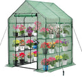 Walk-in Greenhouse for Outdoors, Thickened PE Cover & Heavy Duty Powder-Coated by Purlyugreenhouse