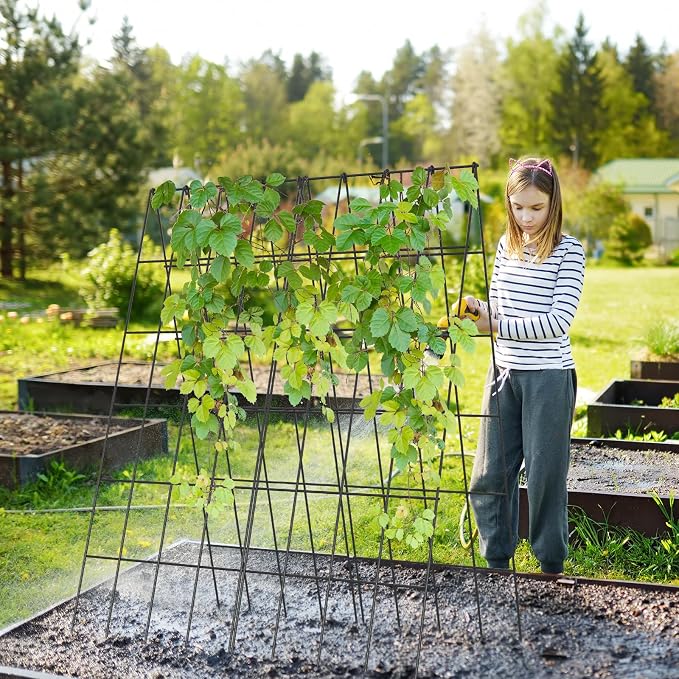 Cucumber Trellis 2 Pack, Foldable A-Frame Garden Trellis - Image 8