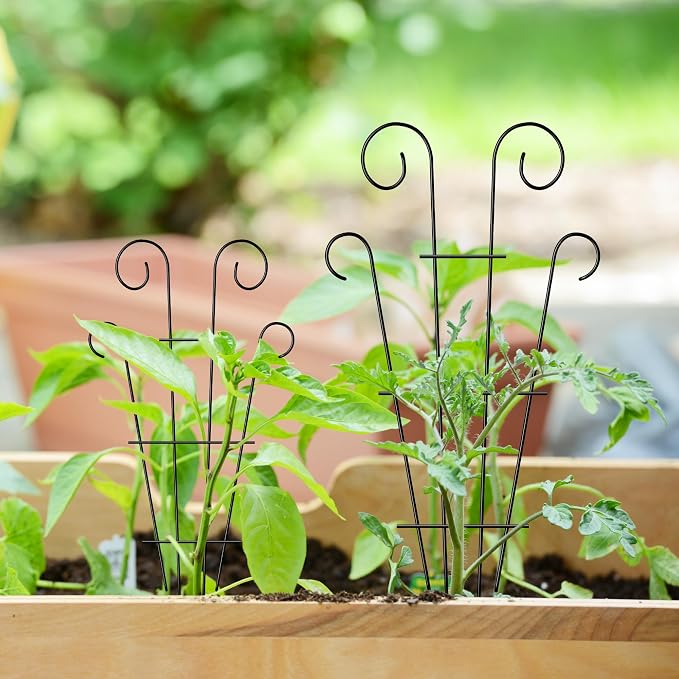 4 Pack 32'' Indoor Plant Trellis - Image 4