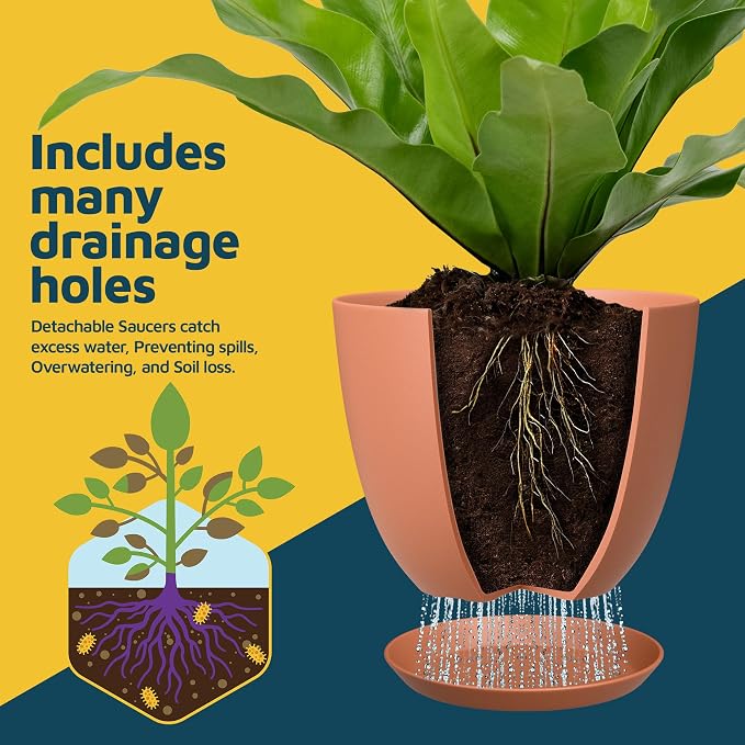 Terracotta Plant Pots with Drainage Holes & Saucers 10 Pack, Indoor & Outdoor - Image 6