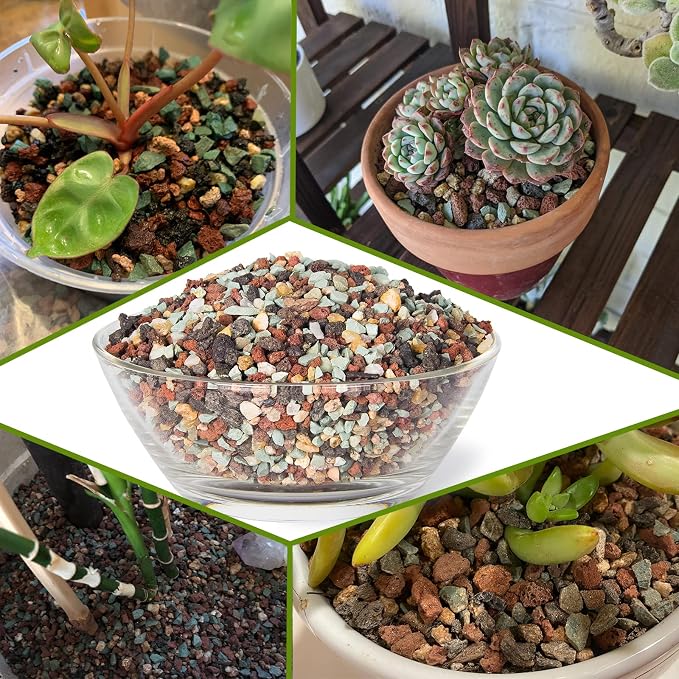 Succulent Pots, 10 Inch Large Succulent Planter Pots - Image 5