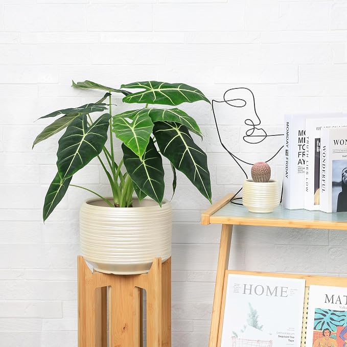 10 Inch Ceramic Plant Pot with Drainage – Large Flower Pot - Image 4